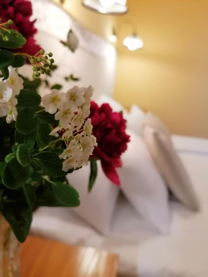 Forras Fogado Bed & Breakfast Bükkszék Eksteriør bilde